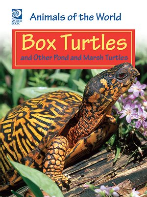 cover image of Box Turtles and Other Pond and Marsh Turtles